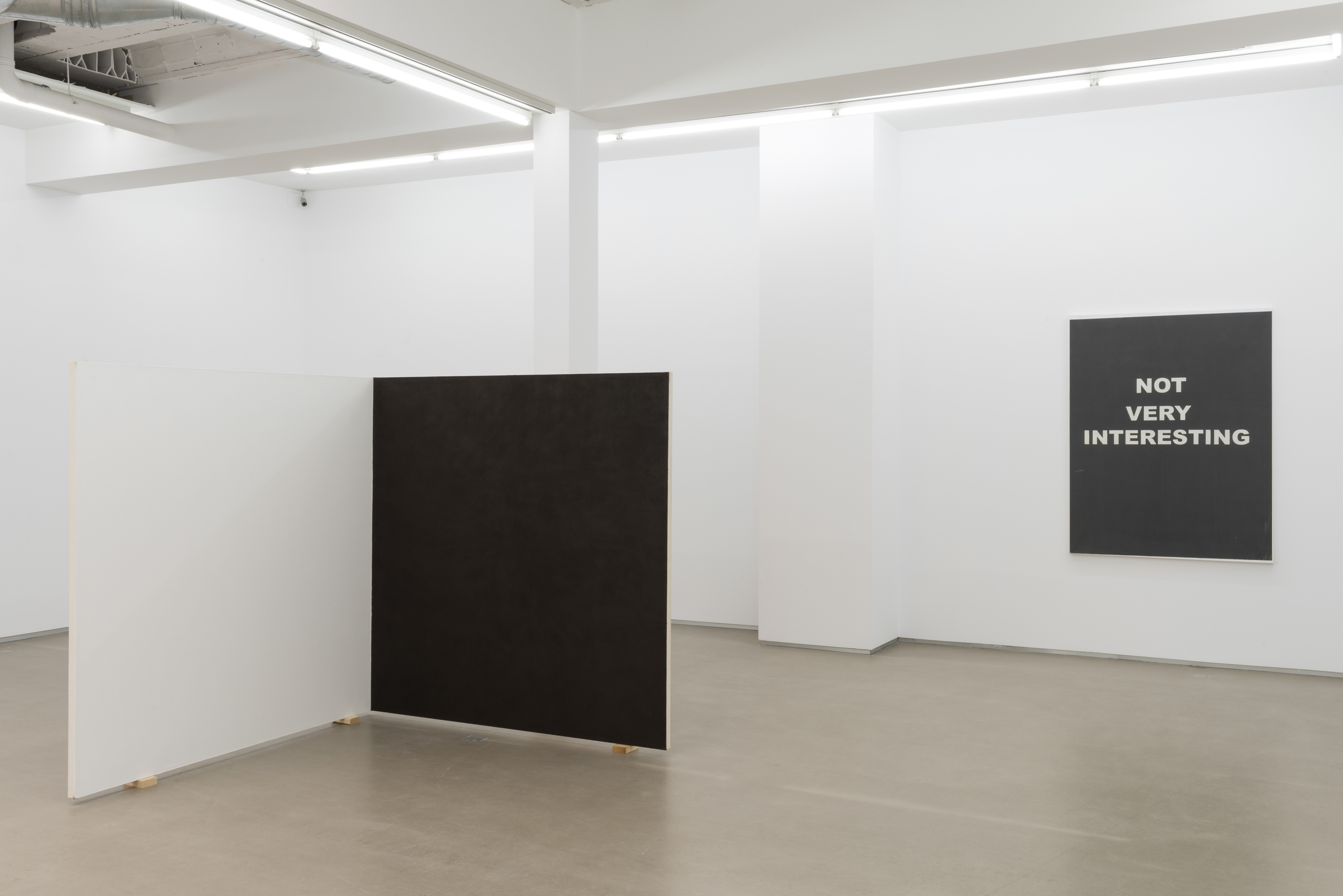 Parra & Romero, exhibition: Accrochage (fig. 35)