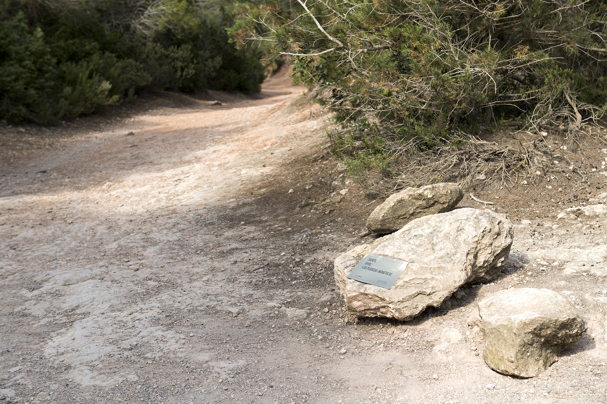 Parra & Romero, exhibition: 38°58’29.65”N 1°26’34.24”E (fig. 2)