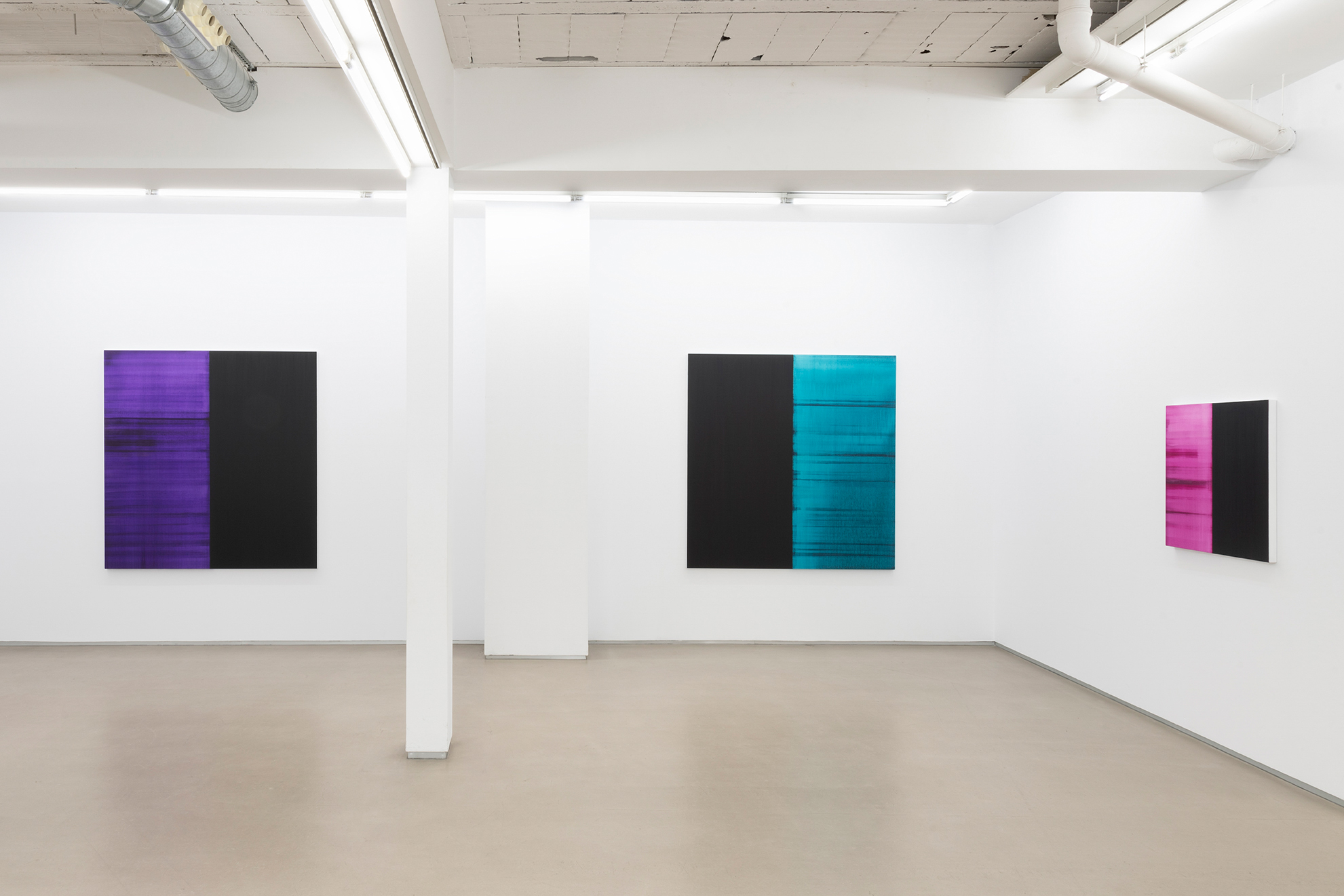 Parra & Romero, exhibition: Callum Innes (thumbnail)