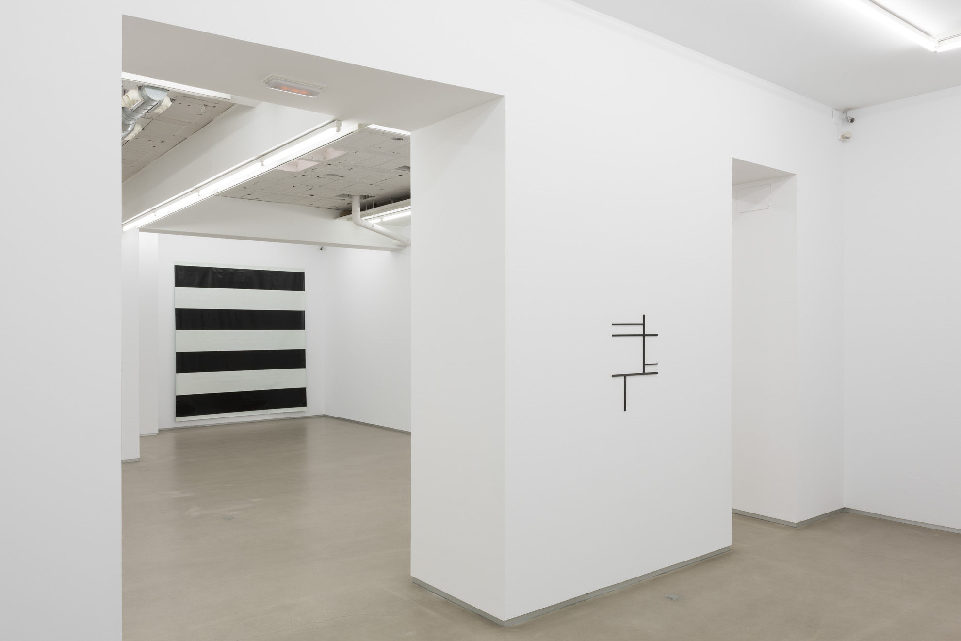 Parra & Romero, exhibition: PHILIPPE DECRAUZAT – MICHEL PARMENTIER (fig. 6)