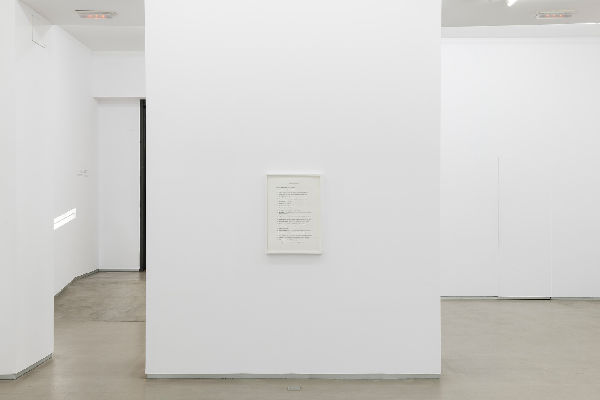 Parra & Romero, exhibition: Photographs in Different Sizes (fig. 26)