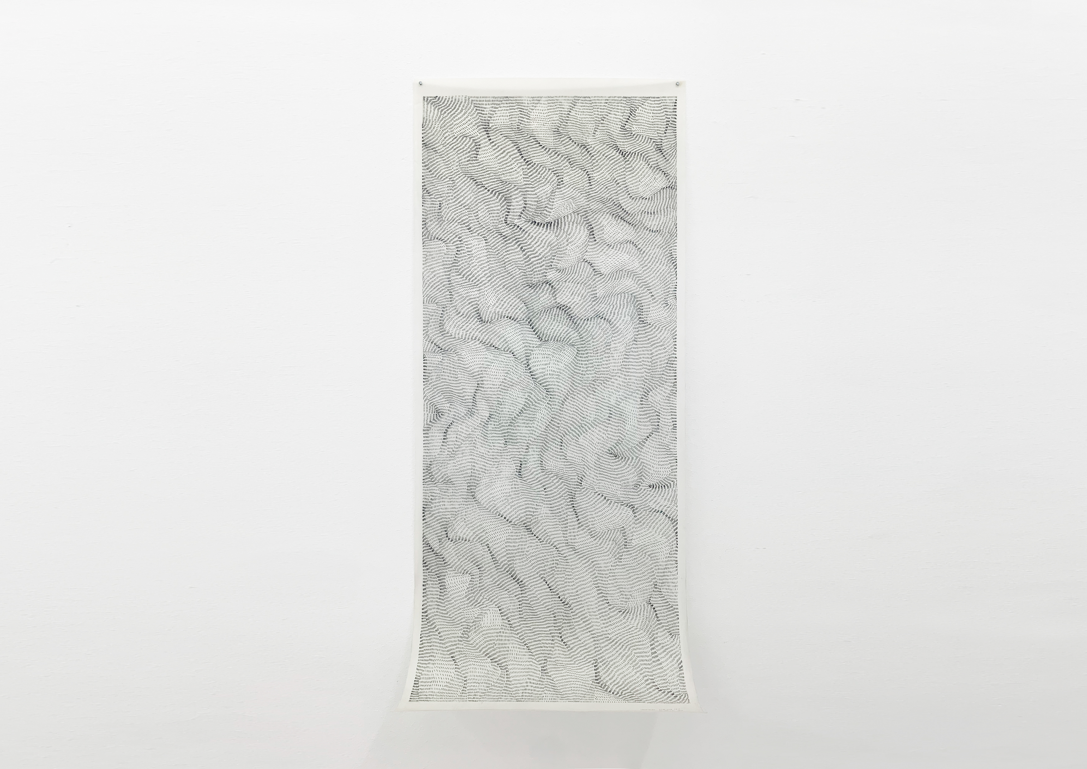 Parra & Romero, exhibition: Dadamaino: 1930-2004. Dal movimiento alla proteste mute (fig. 20)