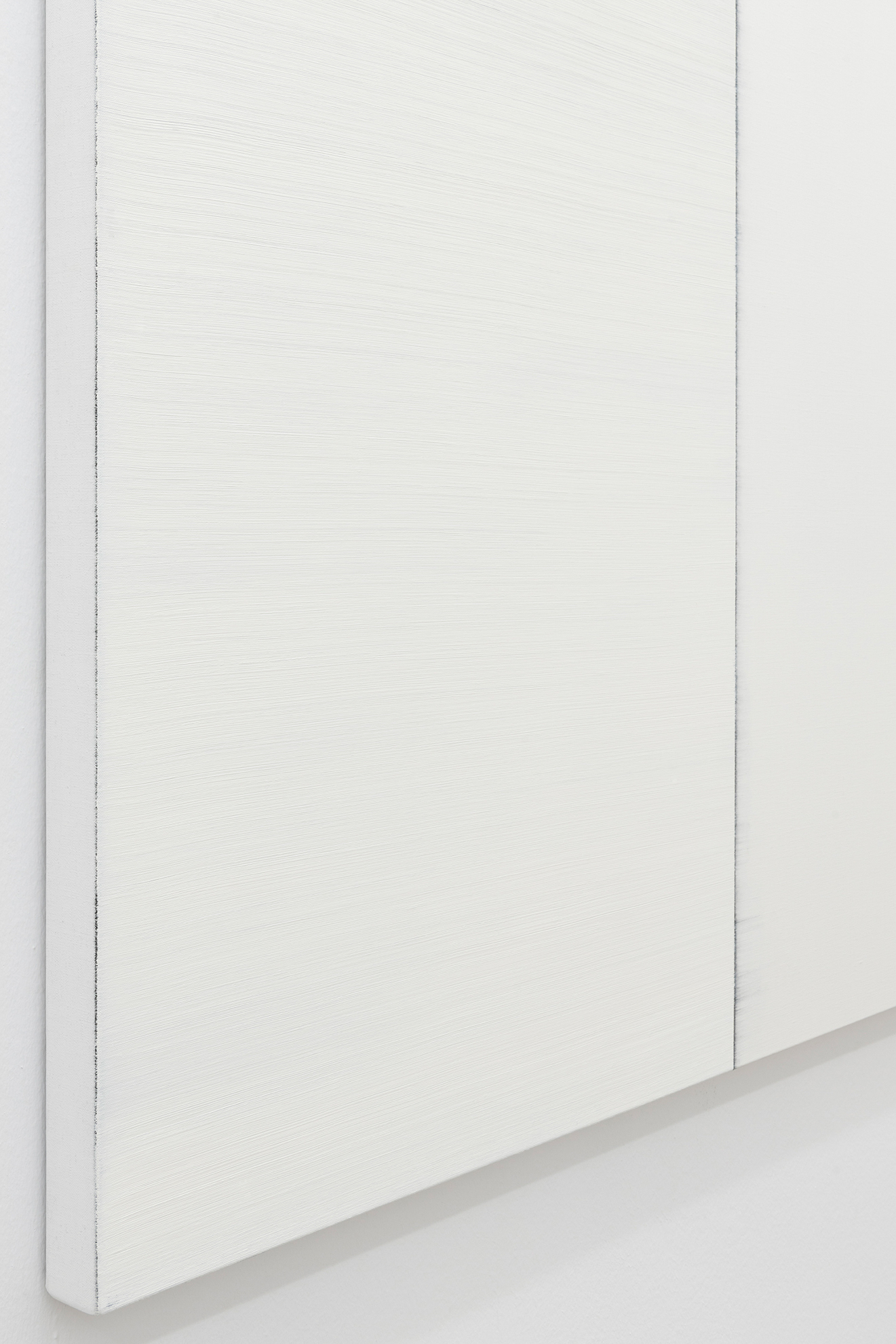 Parra & Romero, exhibition: Callum Innes (fig. 11)