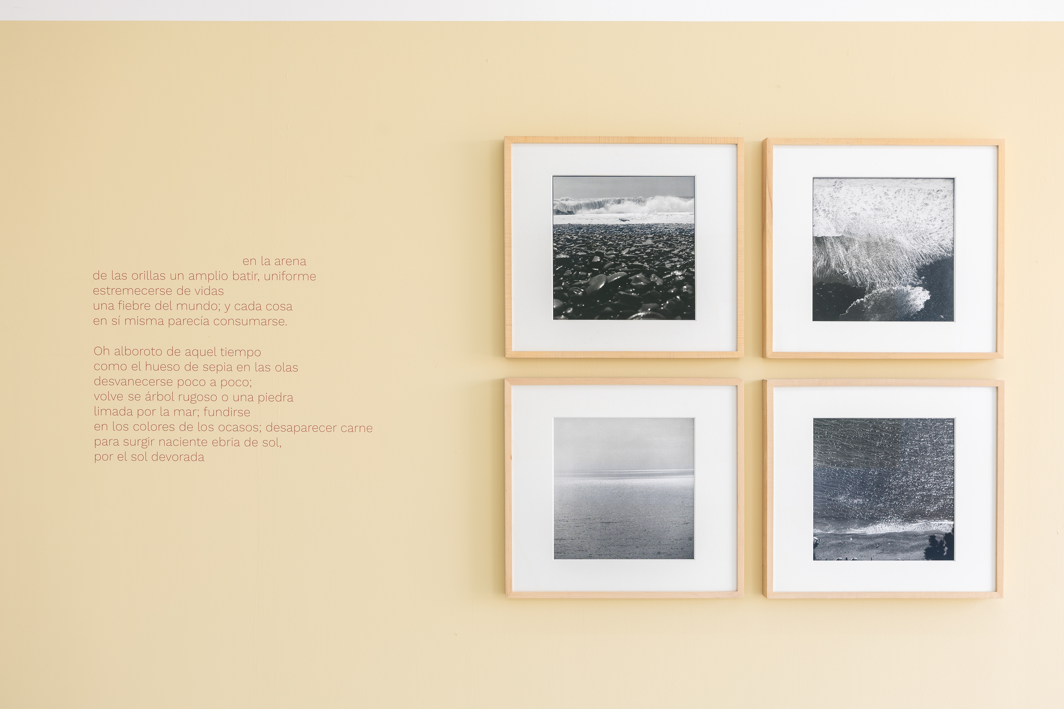 Parra & Romero, exhibition: OSSI DI SEPPIA (fig. 9)