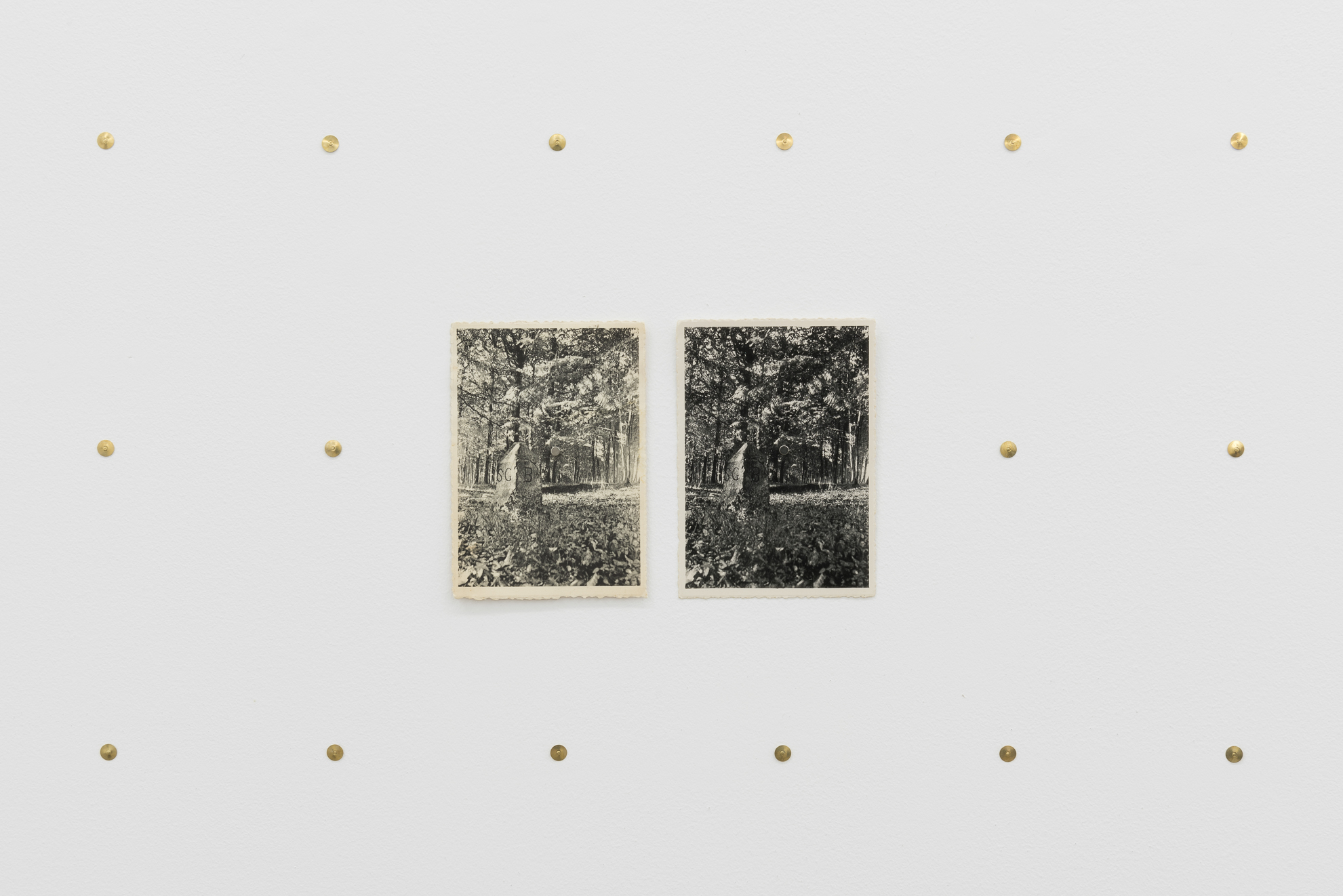 Parra & Romero, exhibition: 42 Días (fig. 27)