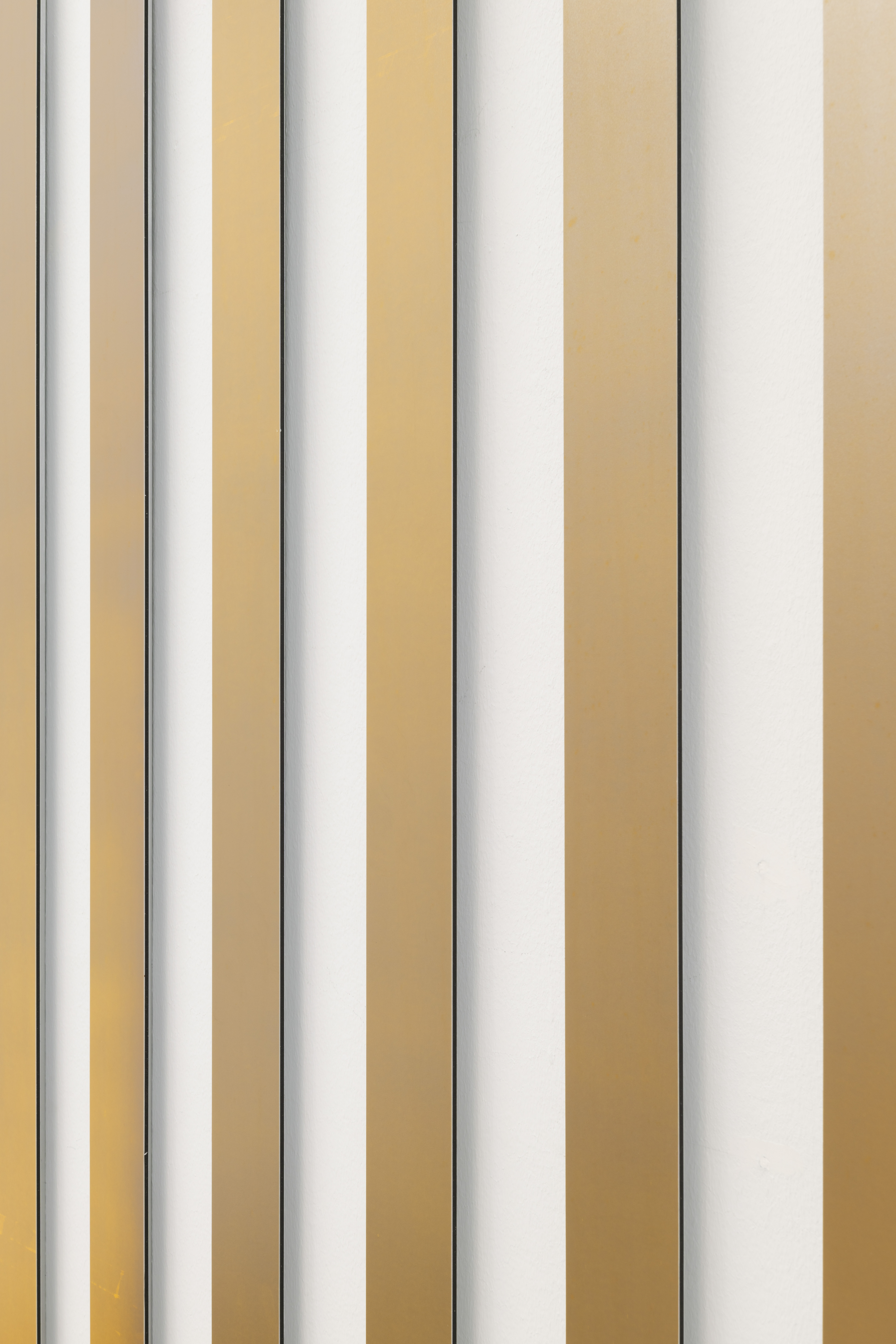 Parra & Romero, exhibition: Liz Deschenes (fig. 19)