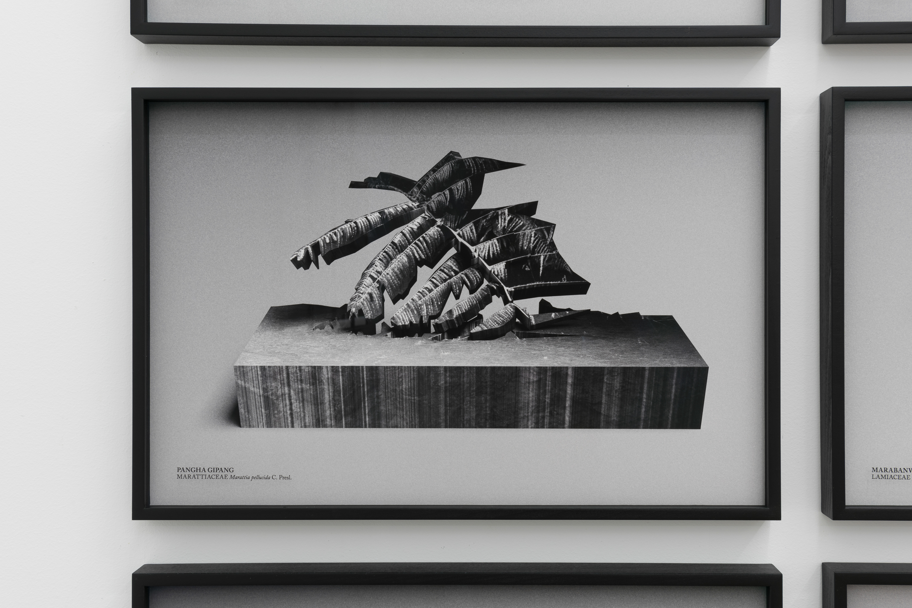 Parra & Romero, exhibition: Unrest (fig. 13)