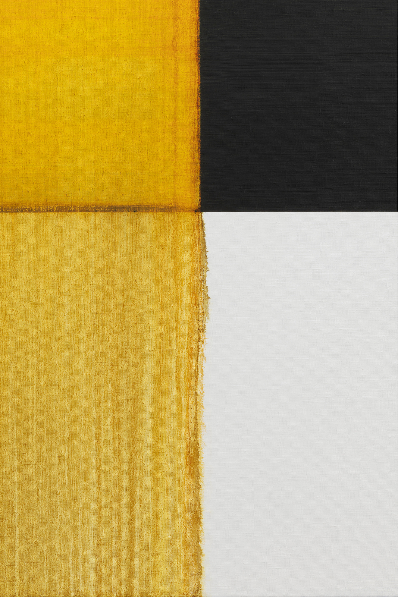 Parra & Romero, exhibition: Callum Innes (fig. 29)