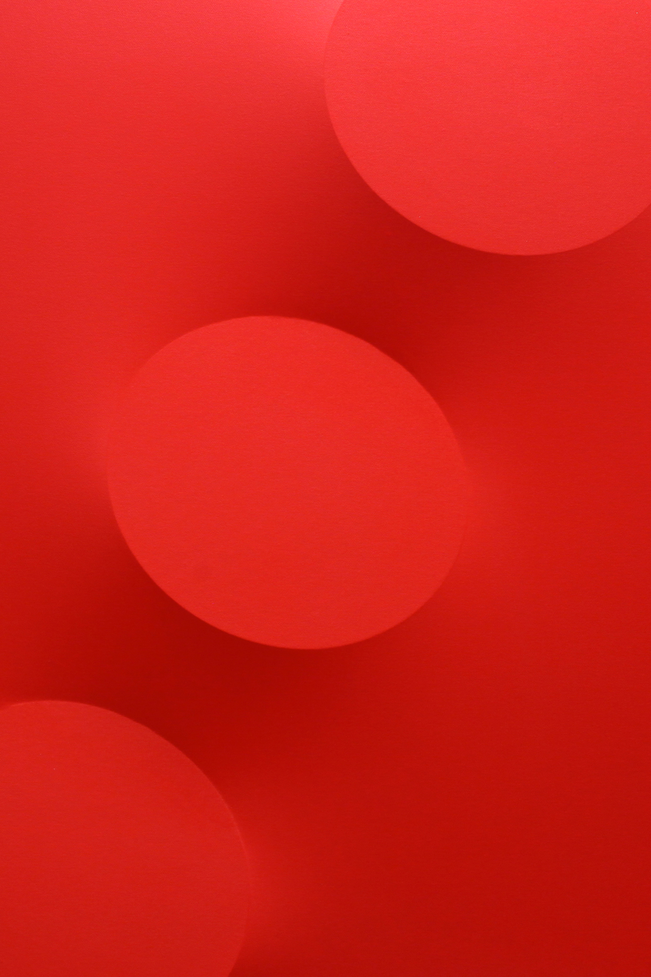 Parra & Romero, exhibition: A Continuous Act With a Specific Form (fig. 4)