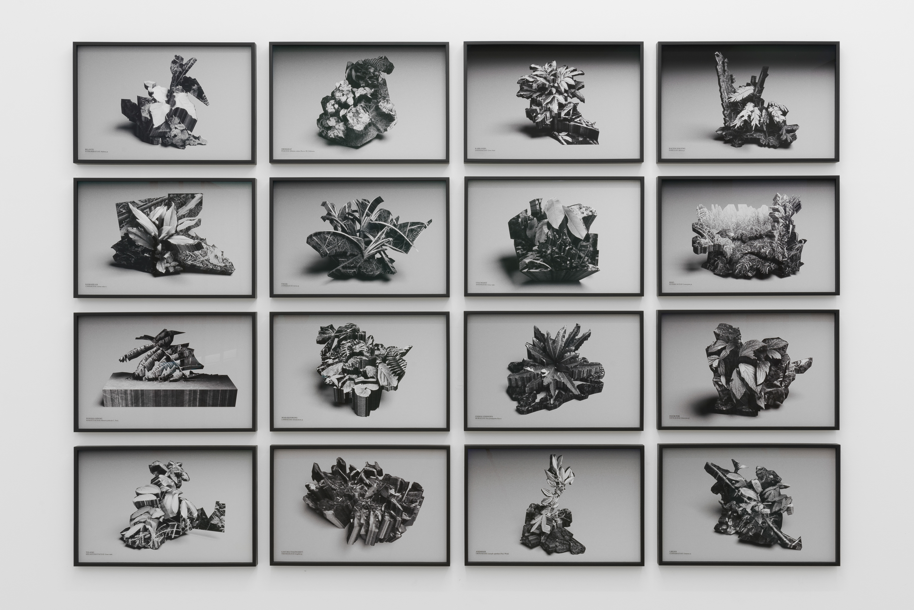 Parra & Romero, exhibition: Unrest (fig. 6)