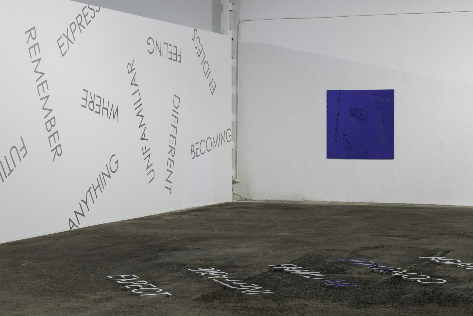 Parra & Romero, exhibition: Reflections (thumbnail)