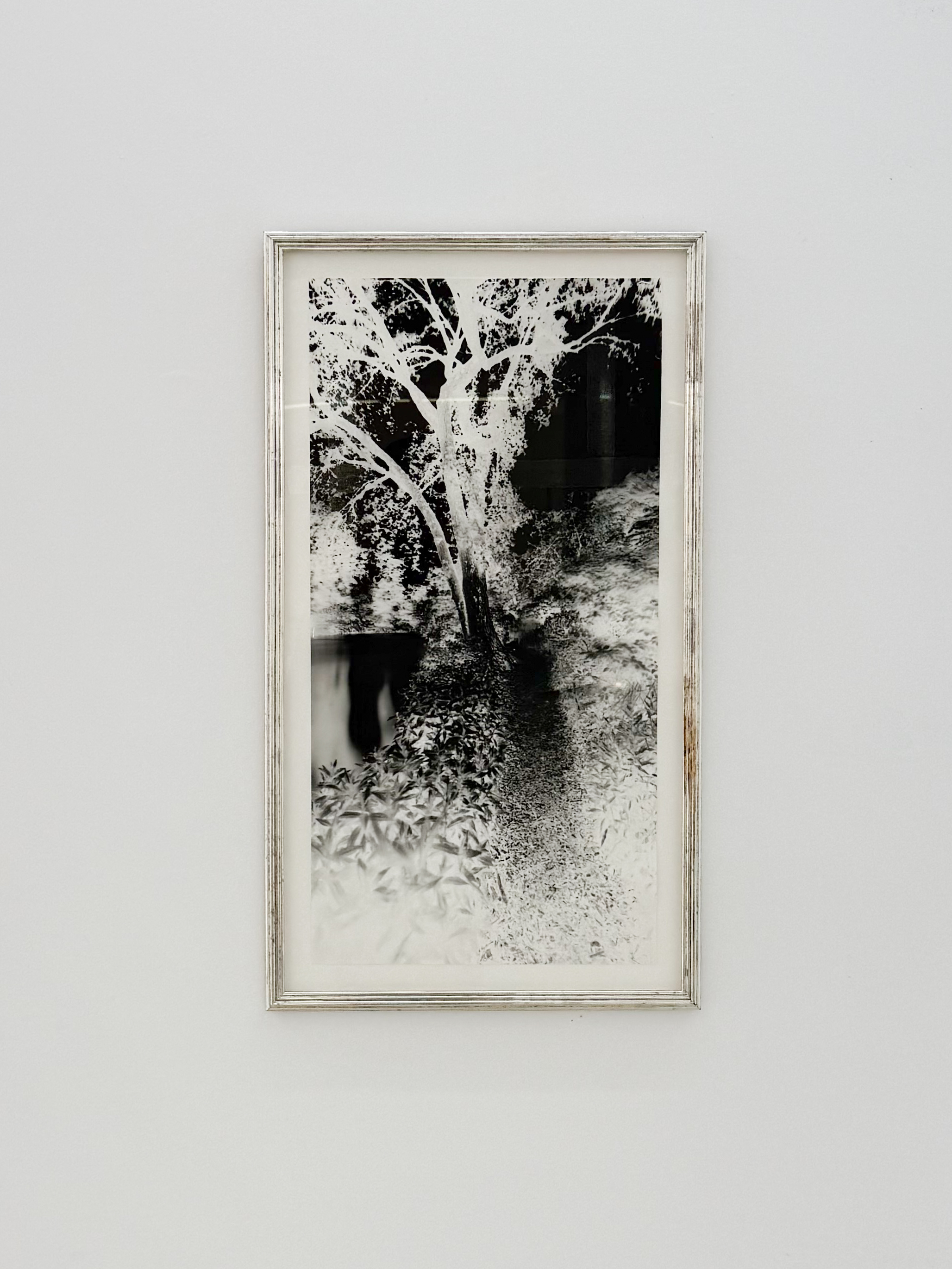 Parra & Romero, exhibition: Speak Memory (fig. 12)