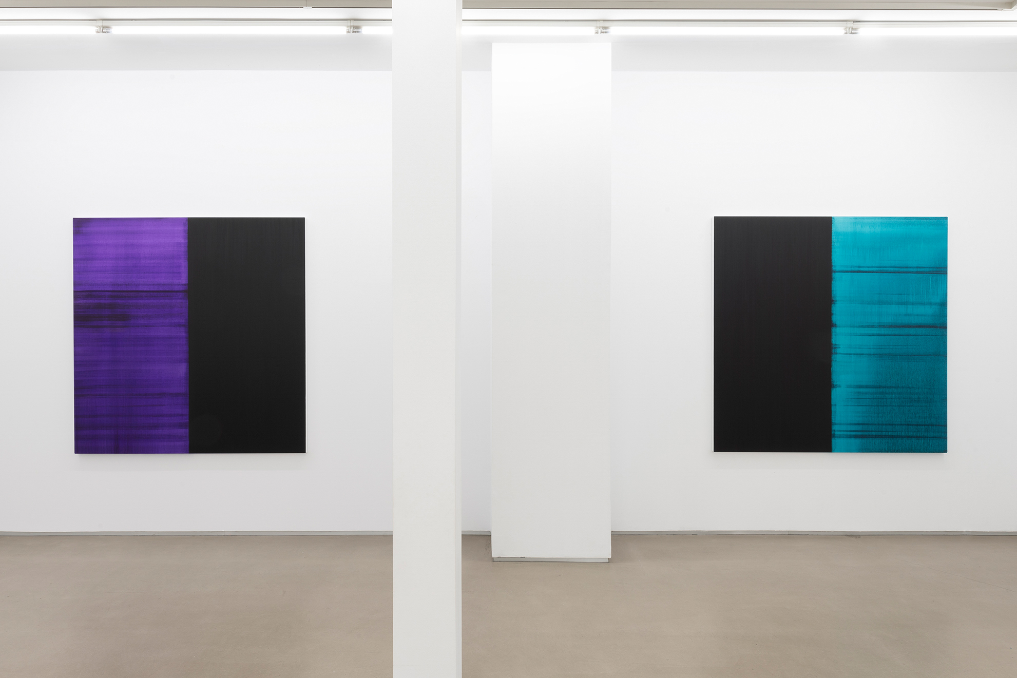 Parra & Romero, exhibition: Callum Innes (fig. 16)