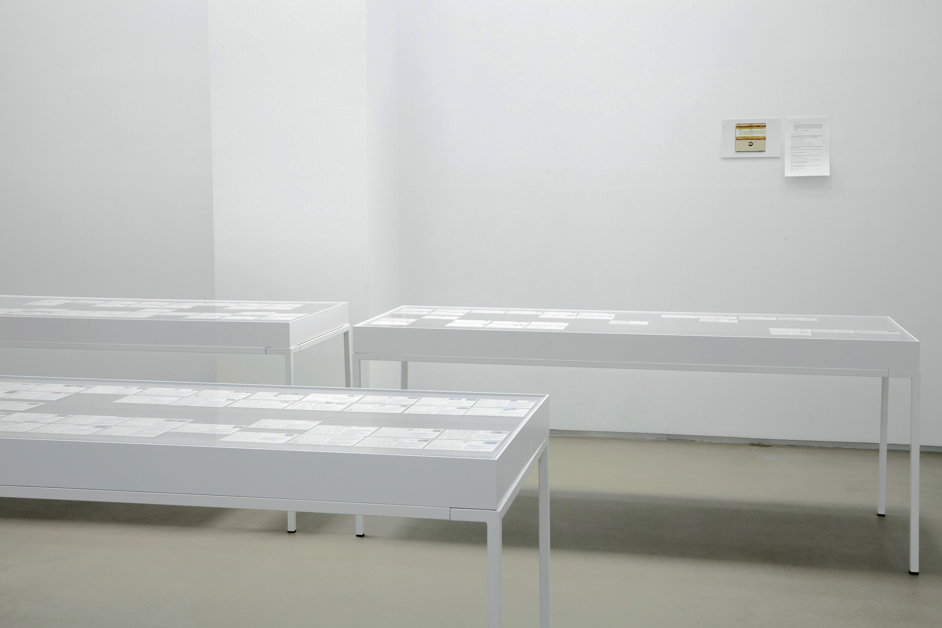 Parra & Romero, exhibition: (No unease can be noticed) (fig. 22)