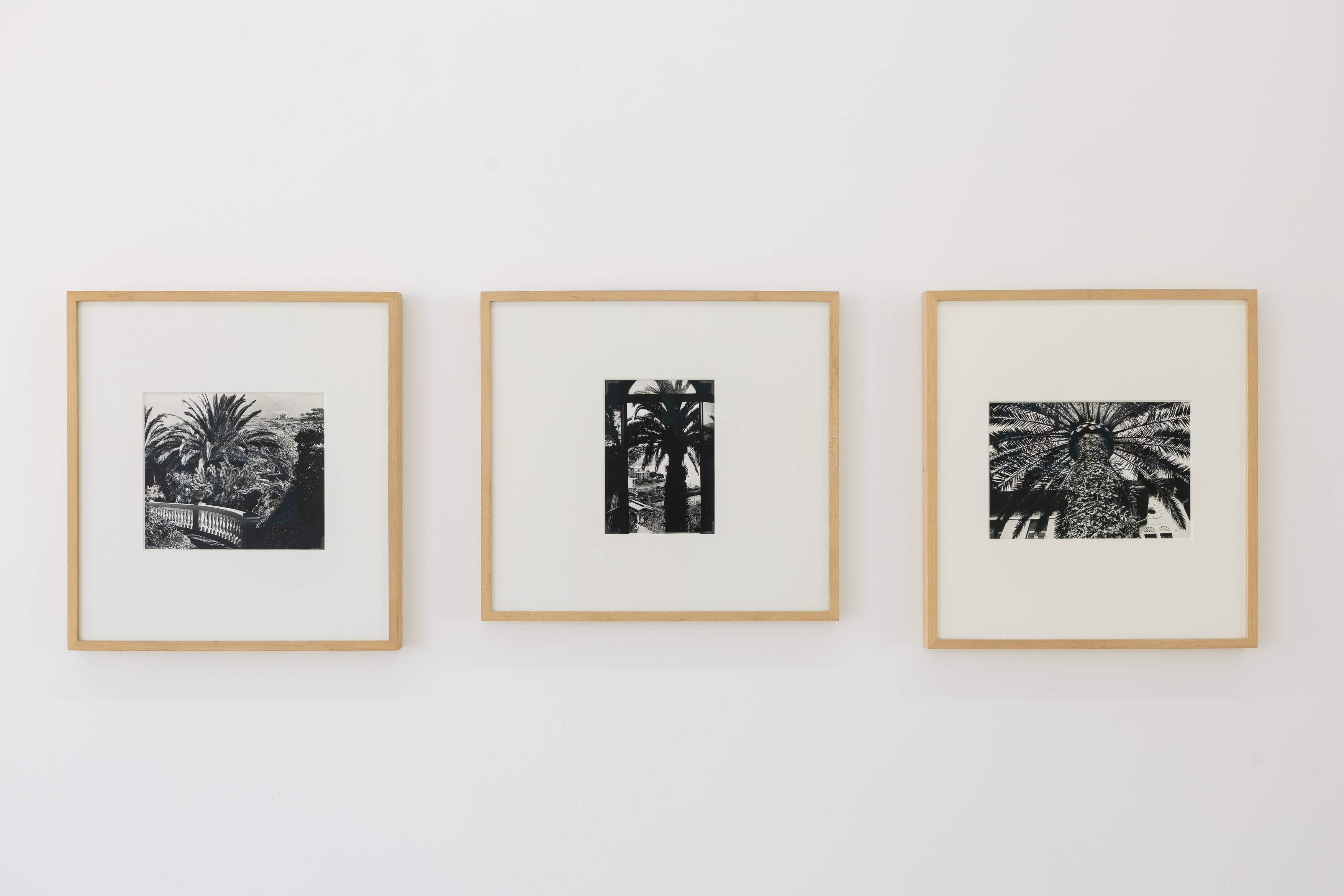 Parra & Romero, exhibition: OSSI DI SEPPIA (fig. 11)