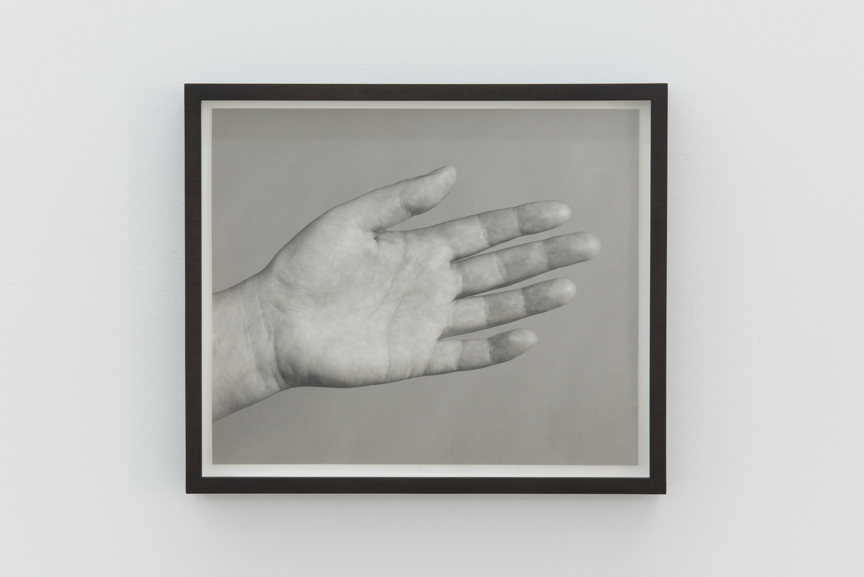 Parra & Romero, exhibition: Otros ejemplos recientes (fig. 26)