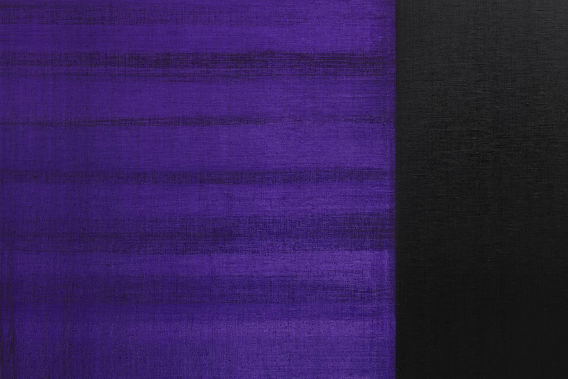 Parra & Romero, exhibition: Callum Innes (fig. 15)