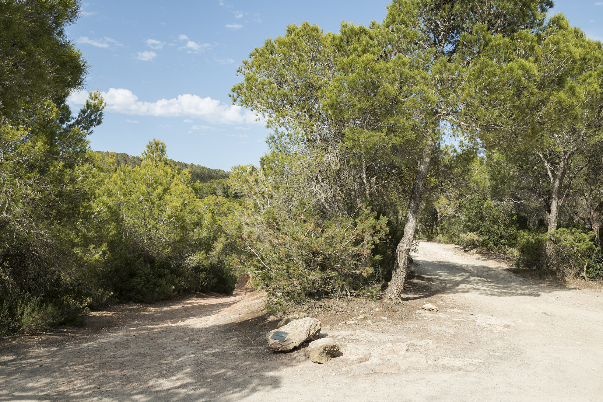 Parra & Romero, exhibition: 38°58’29.65”N 1°26’34.24”E (fig. 1)