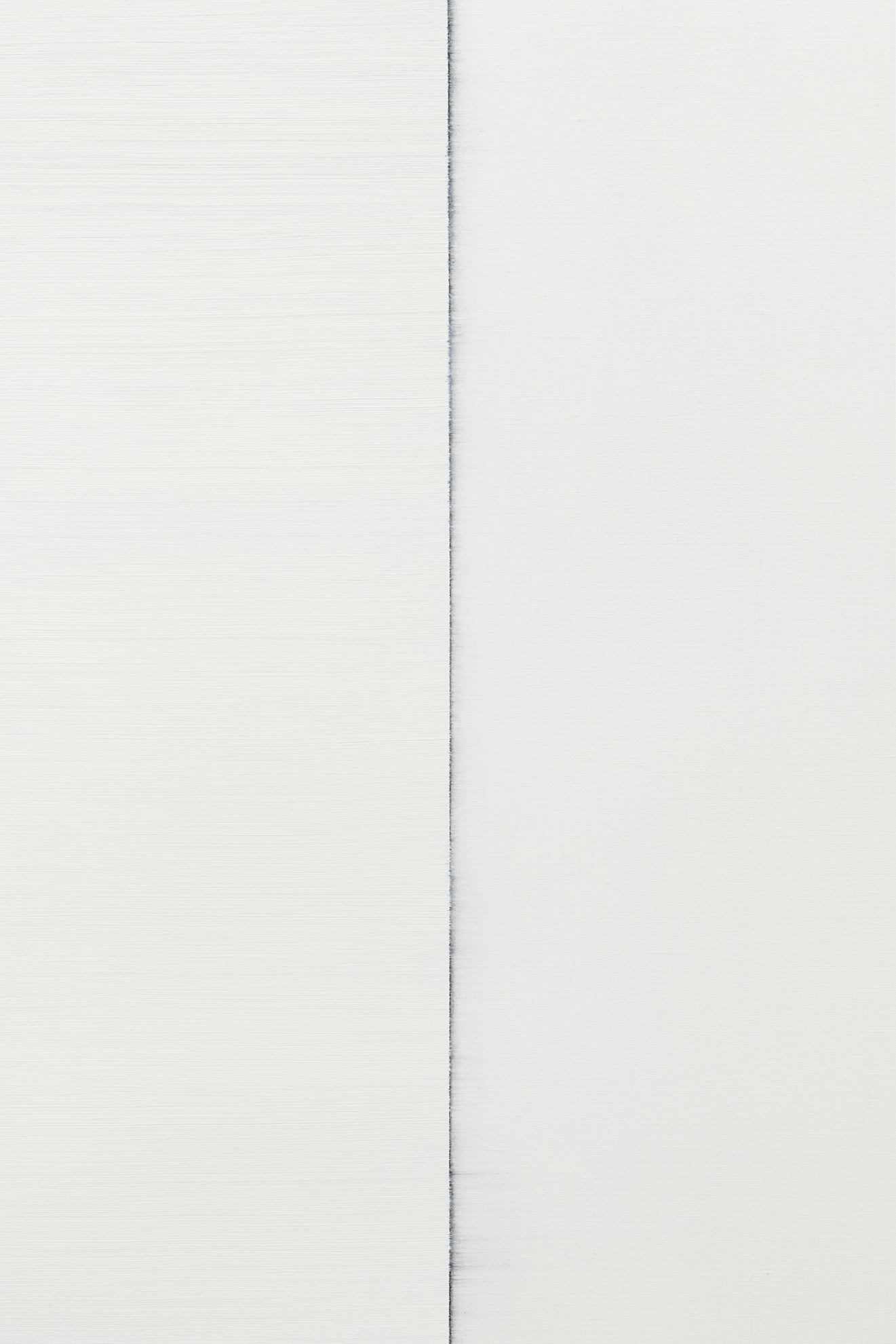 Parra & Romero, exhibition: Callum Innes (fig. 10)