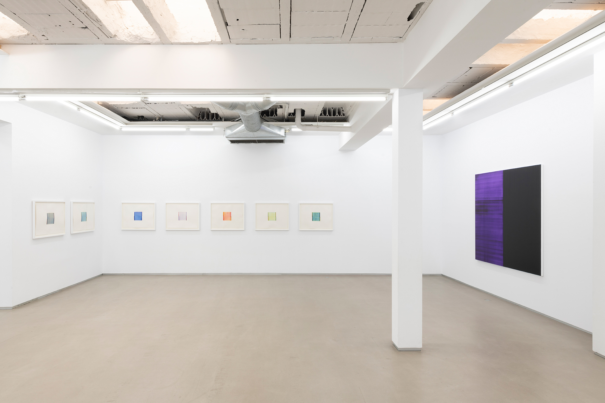 Parra & Romero, exhibition: Callum Innes (fig. 41)