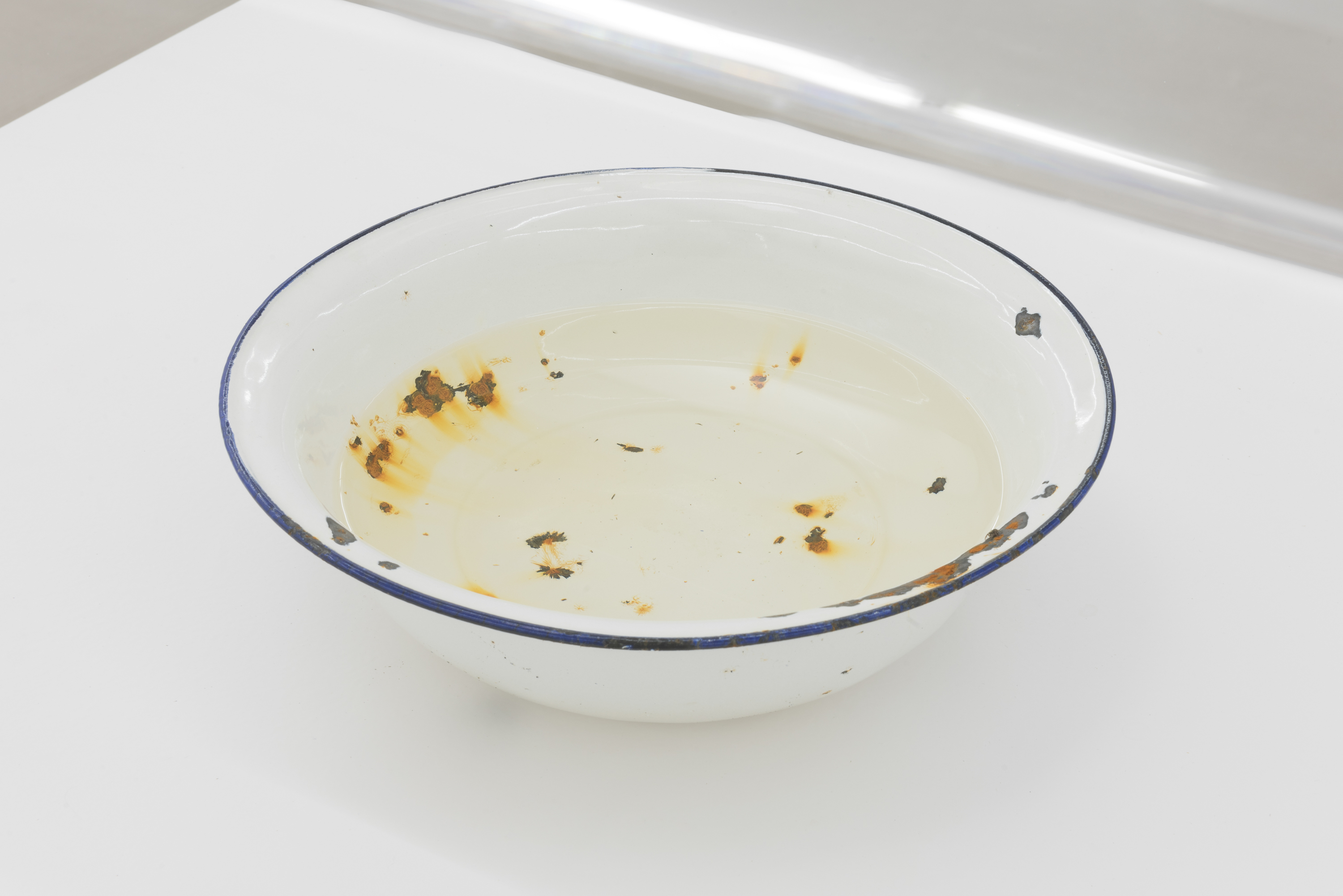 Parra & Romero, exhibition: Dibujos (fig. 17)