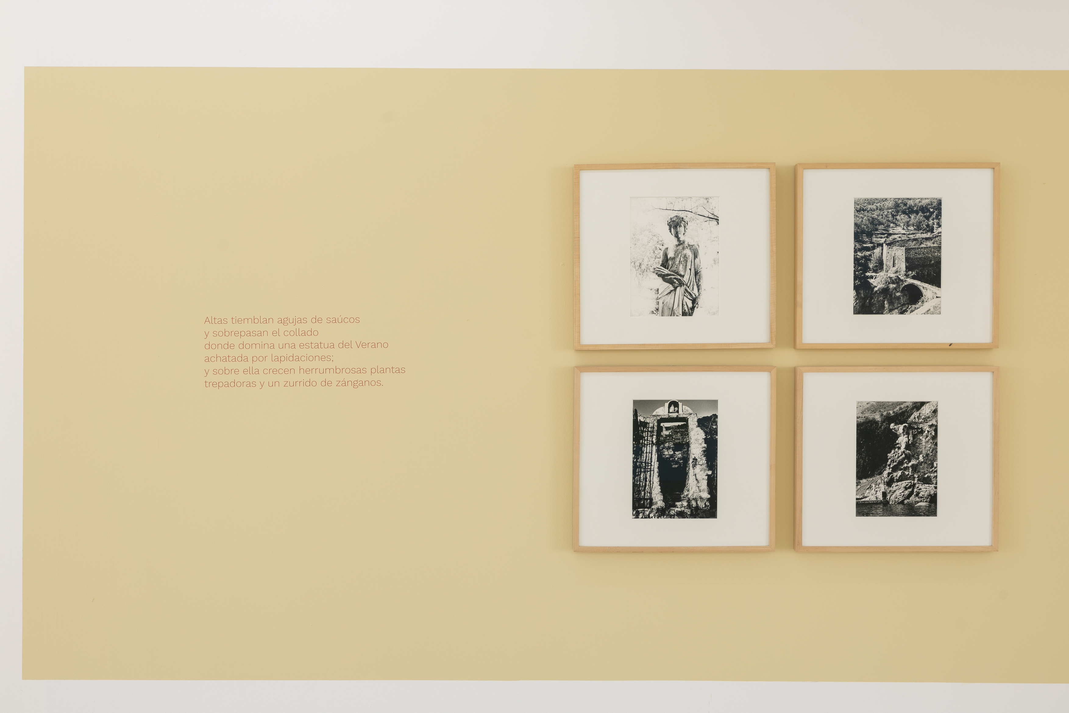 Parra & Romero, exhibition: OSSI DI SEPPIA (fig. 12)