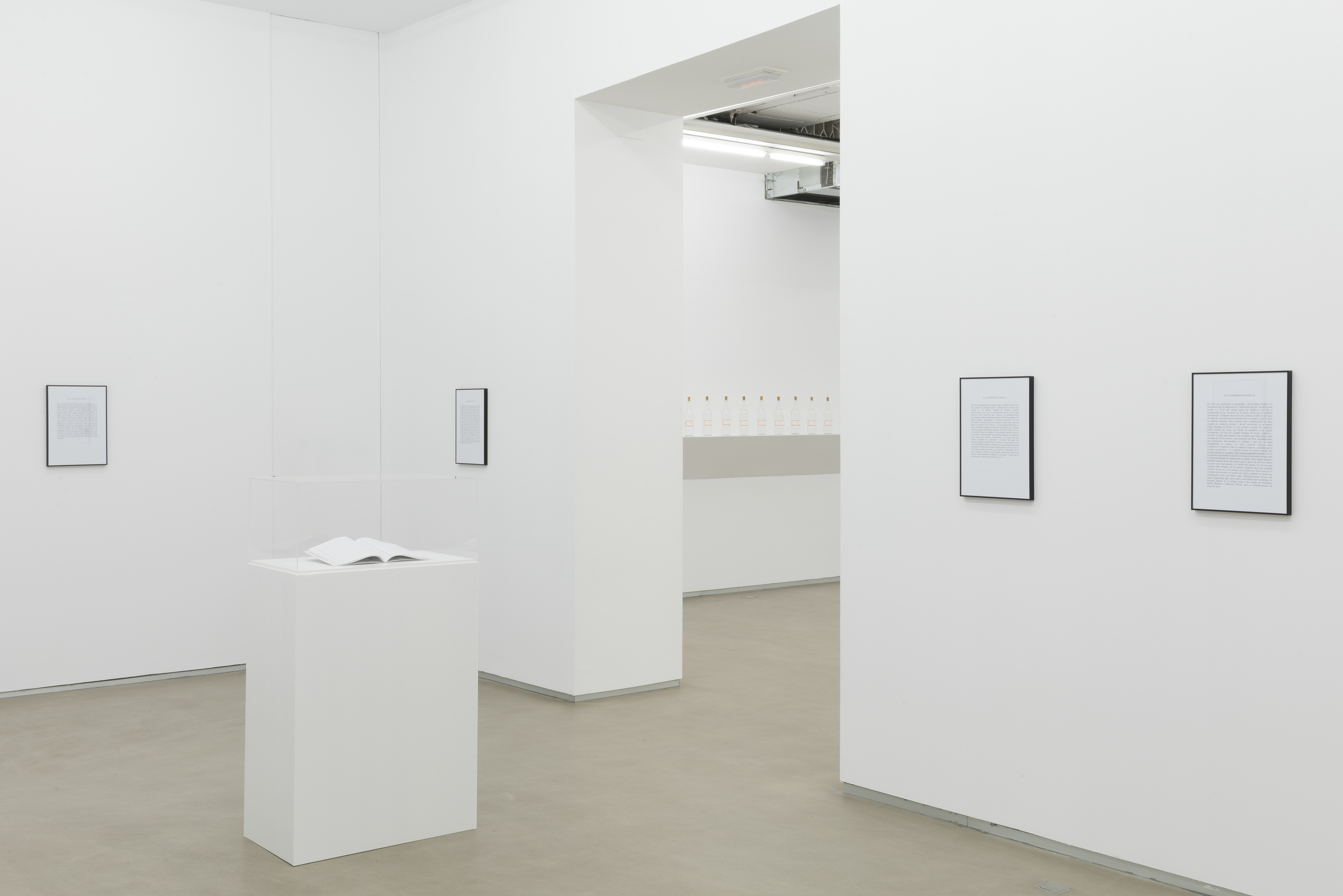 Parra & Romero, exhibition: Dibujos (fig. 11)