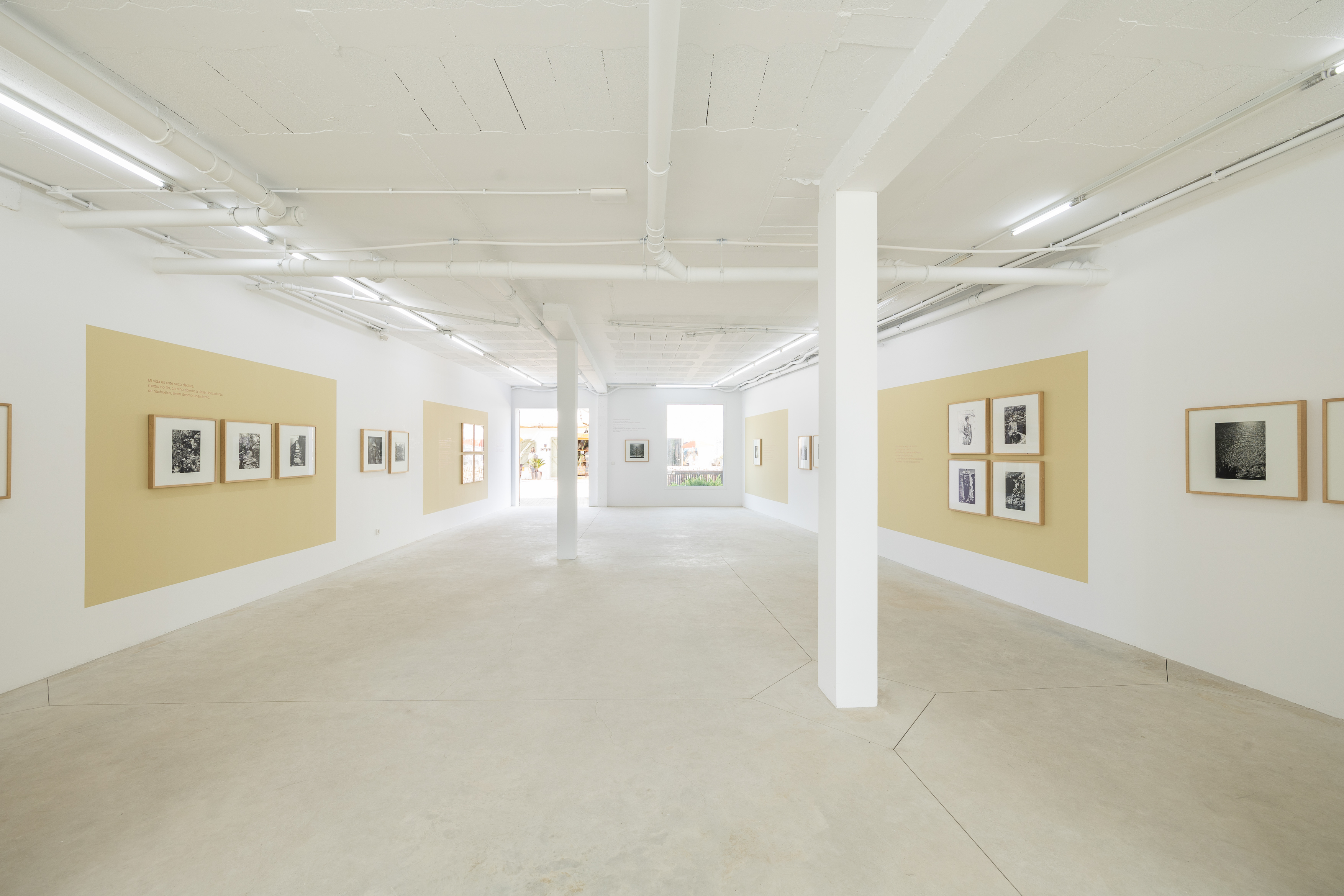 Parra & Romero, exhibition: OSSI DI SEPPIA (fig. 1)