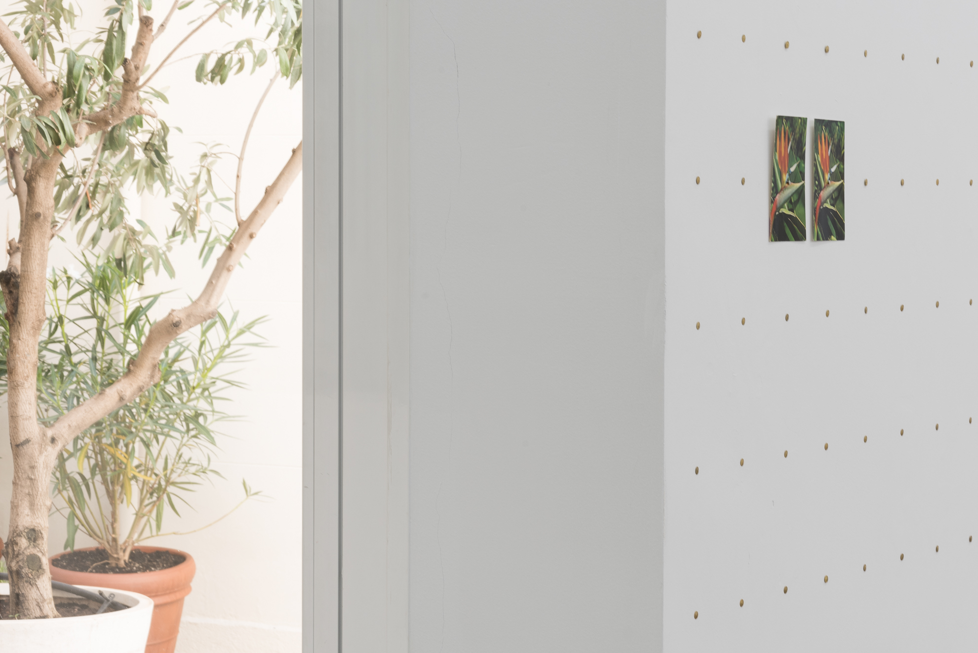 Parra & Romero, exhibition: 42 Días (fig. 18)